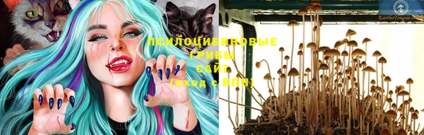 дмт Балабаново